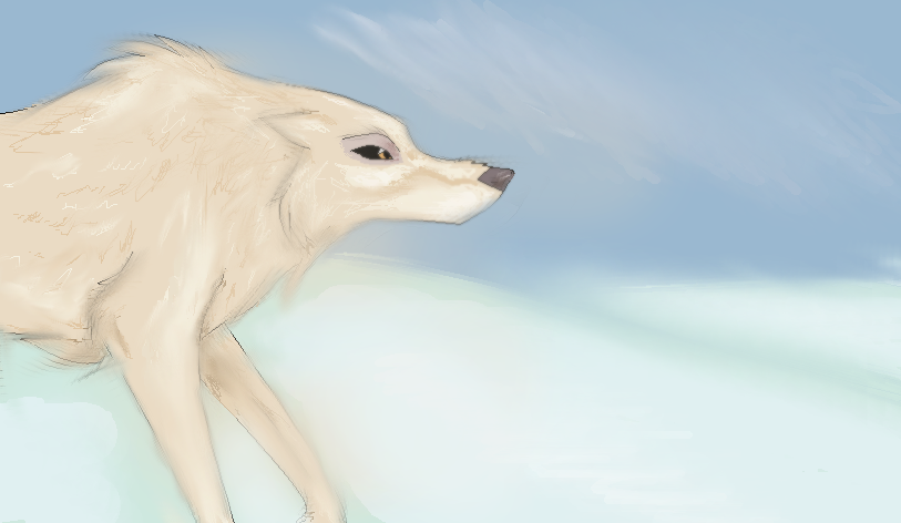 Random drawing