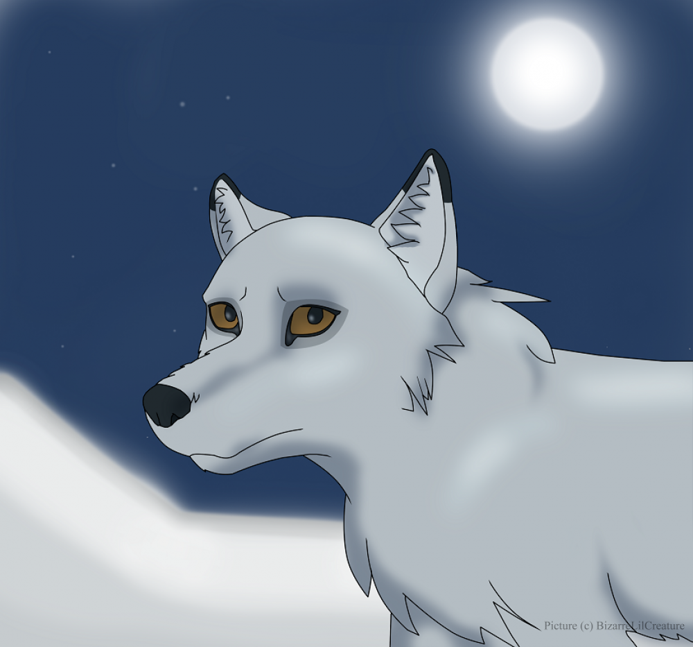 Aniu/White wolf
