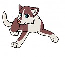 Puppy Erinev