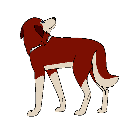 Saba