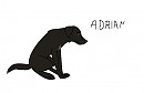 I lied