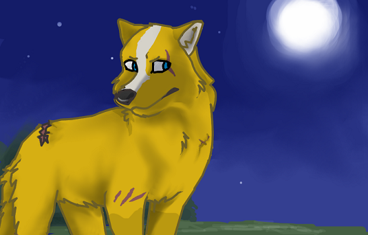 Hunter for Moki :D