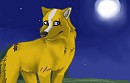 Hunter for Moki :D