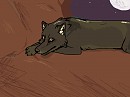 Not just a random woof :P