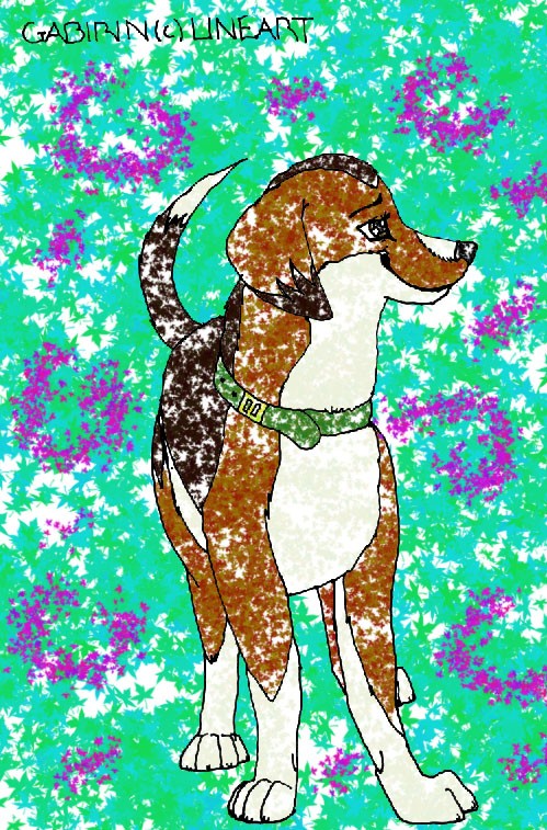 Canela leaf