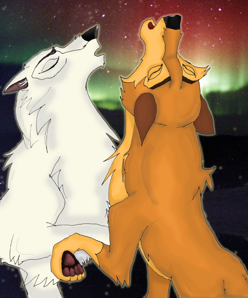 Alue and Haniu, howling at the aurora borealis