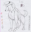 Jownah reference sheet