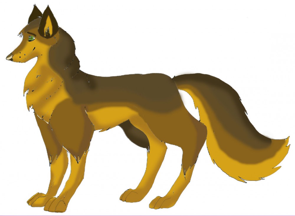 Wolfdog