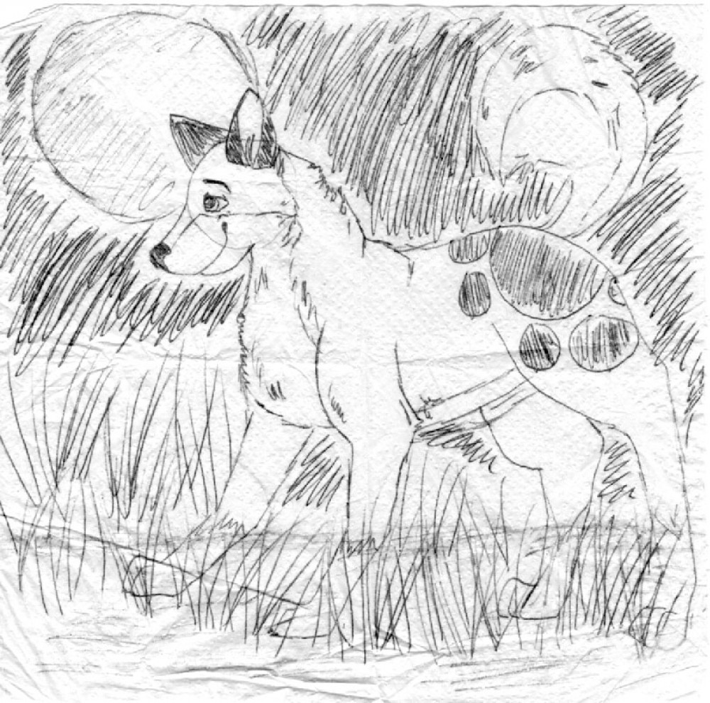 - A drawings on a napkin