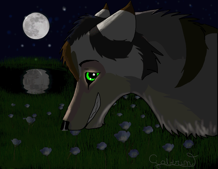 - Request for Moon Whisper -