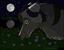 - Request for Moon Whisper -