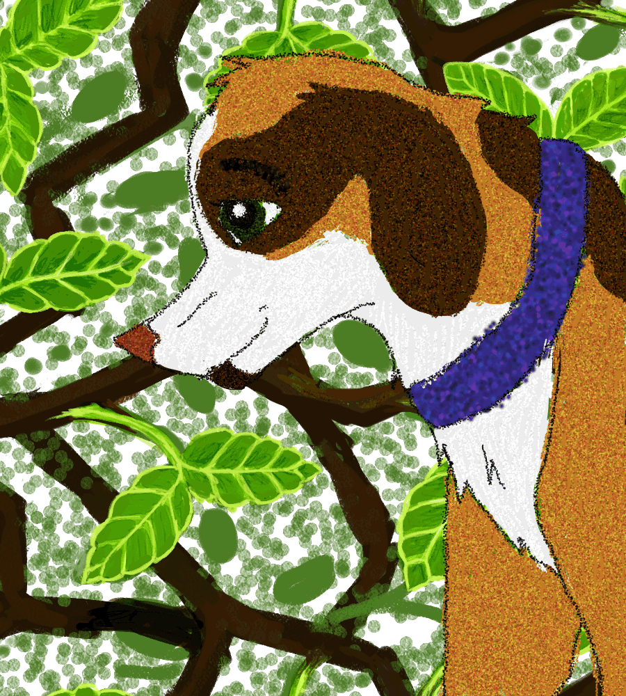 - Just my doggy Louanne -