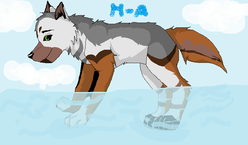 - Puppy Luky in the water ^^ -