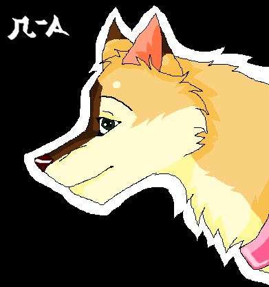 - Cielo headshot -