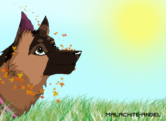 - Hello, Sunshine (request) -