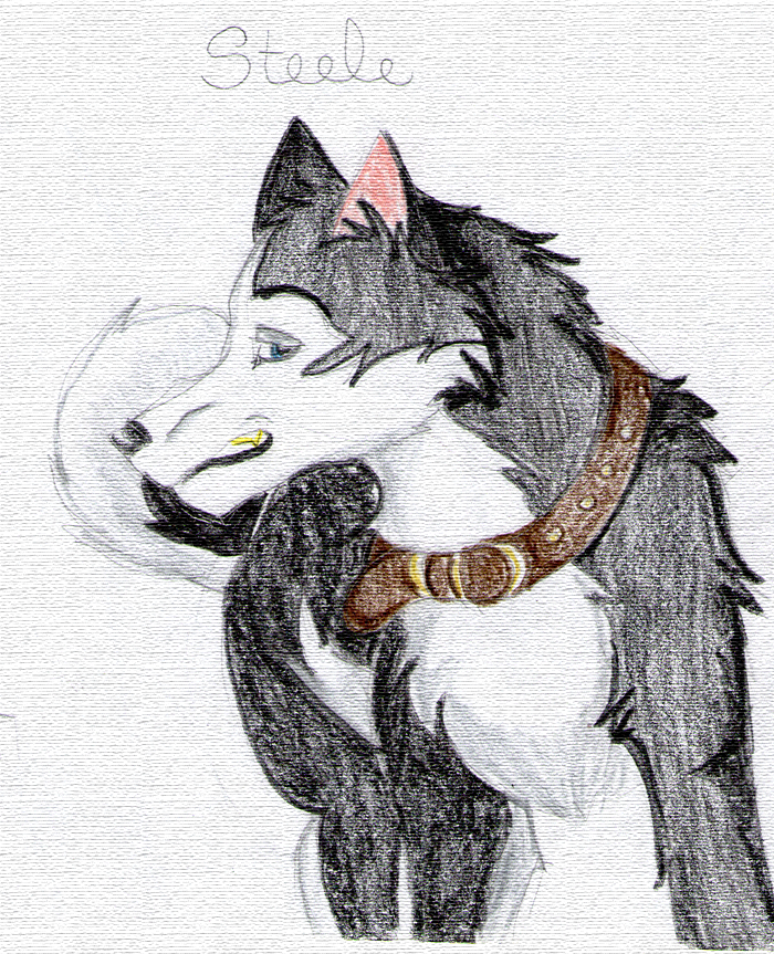 - Steele -