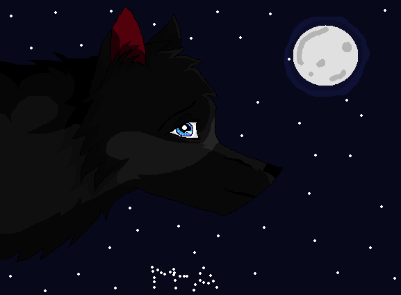 - At the Moonlight (request) -