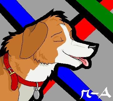 - Whitt - Trade with The Solo Hero -