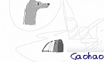 gaohao
