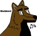 Blackbeard