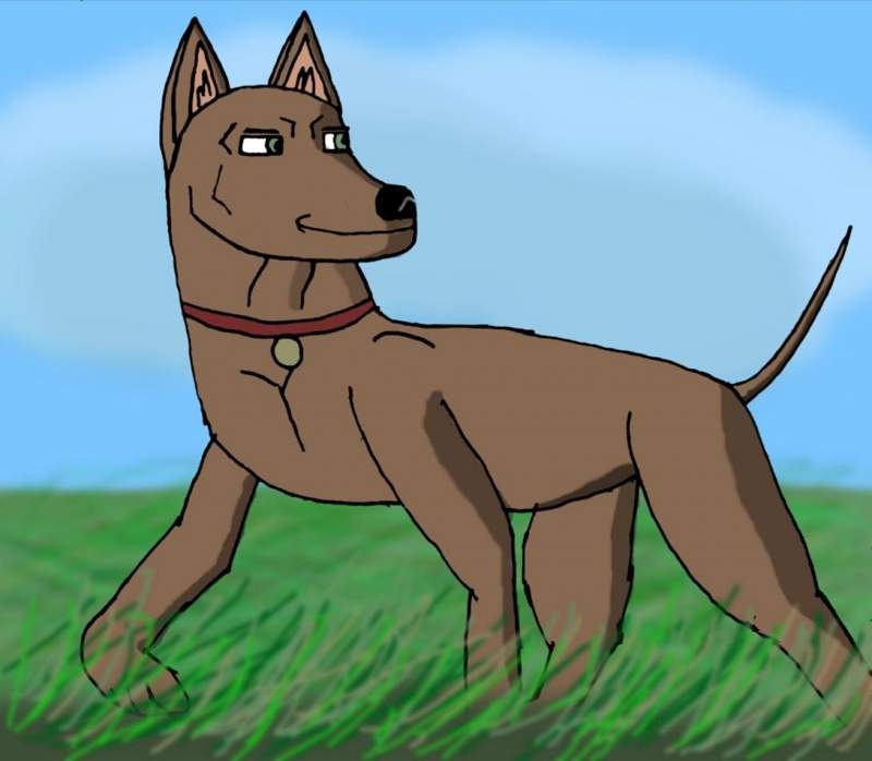 Hound in the Field