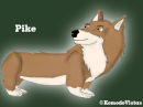 Pike the Corgi