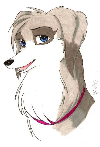Shayla for meerkatcute
