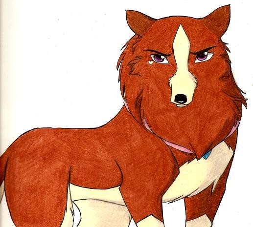A Distrustful Glare