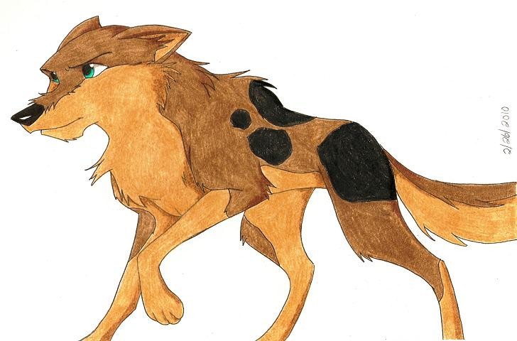 Kodiazak