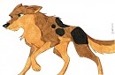 Kodiazak