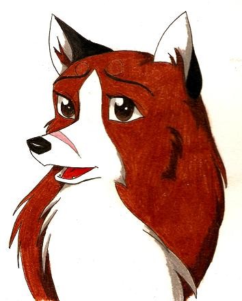 Callie-Rose for Wolfhusky