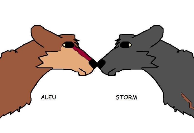 Aleu and Storm