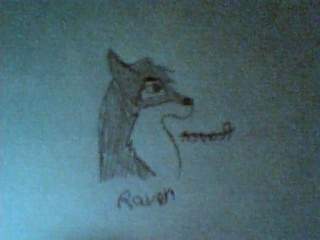 Raven