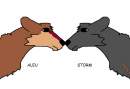 Aleu and Storm