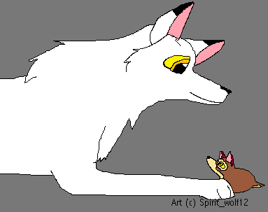 Aniu and Balto