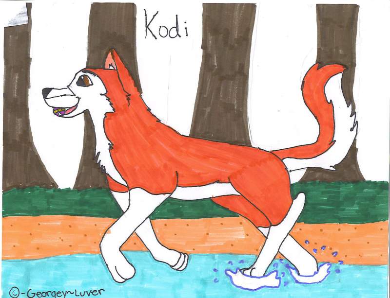 Kodi