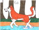 Kodi