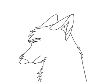 sad zoom puppy