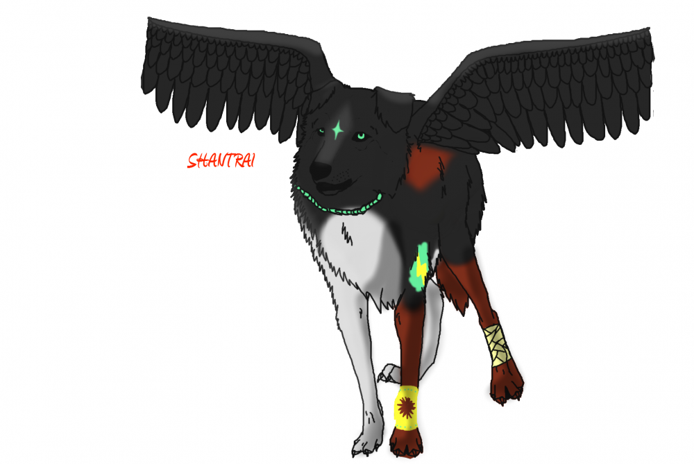 Request no. 1 (for Shantraiwolfdog)