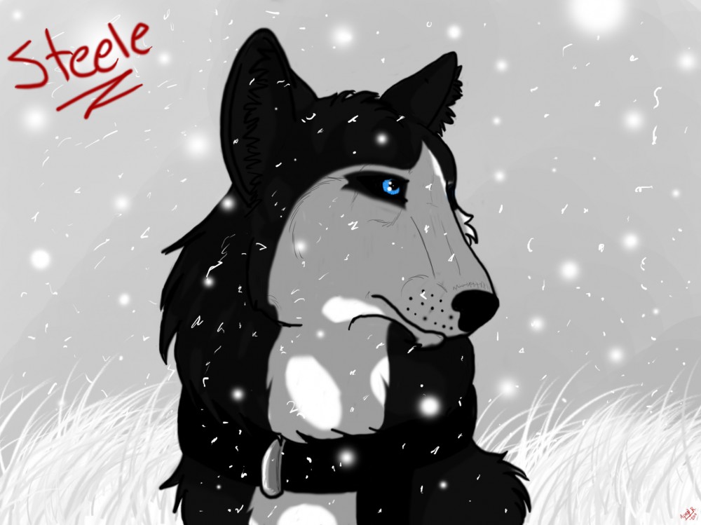 Steele Before the Collar