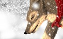 actual realsitic balto