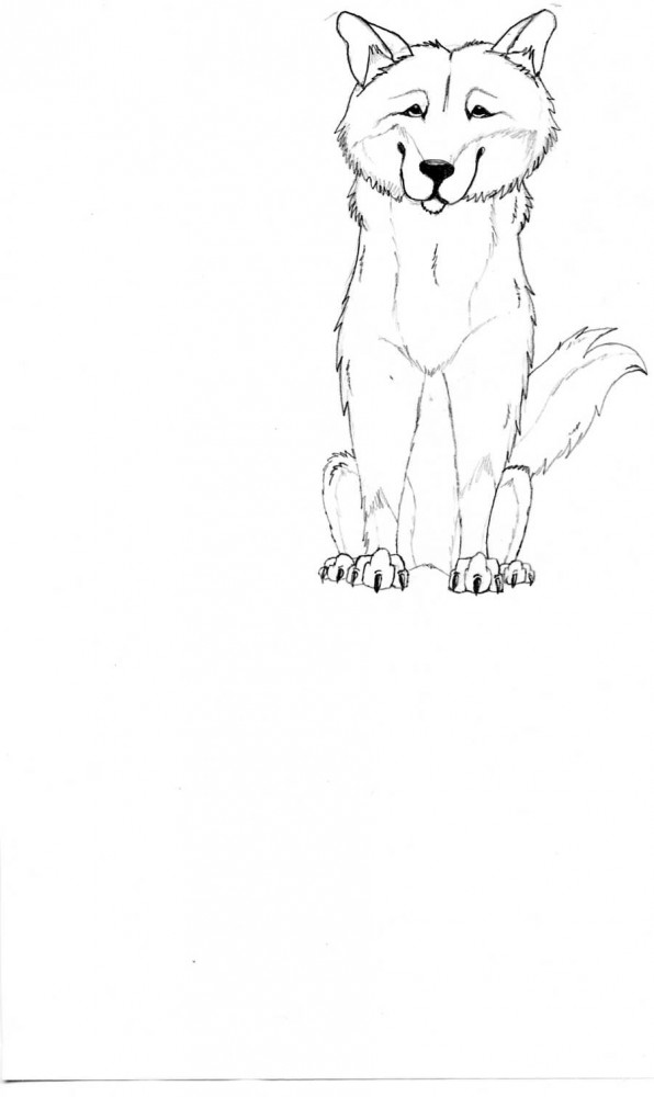 first scan balto