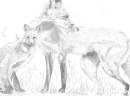 Two Foxes