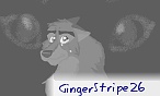 GingerStripe26