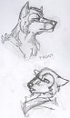 Faust Profiles