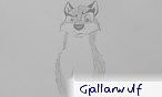 Gjallarwulf