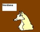 Dingos Girlfriend