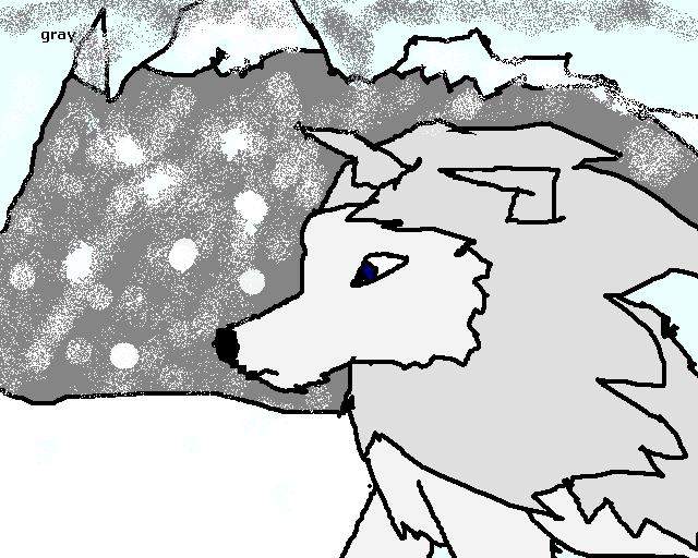 Gray,Tiger´s brother