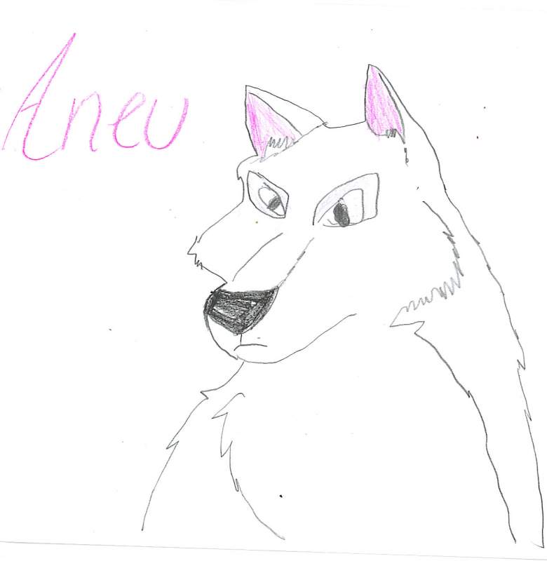 Aneu
