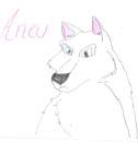 Aneu
